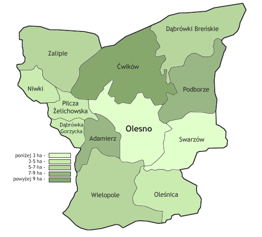 rednie powierzchnie gospodarstw rolnych w gminie Olesno